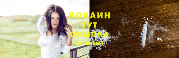 spice Аркадак