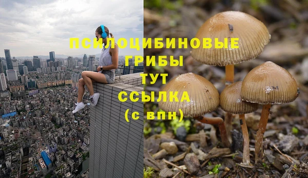 spice Аркадак