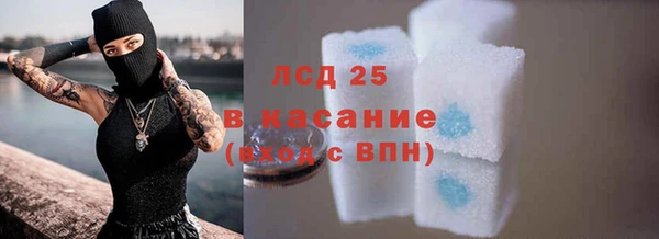 spice Аркадак