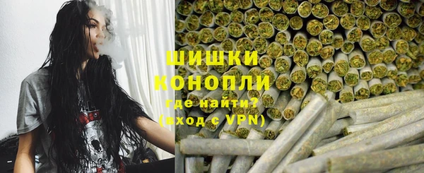 spice Аркадак