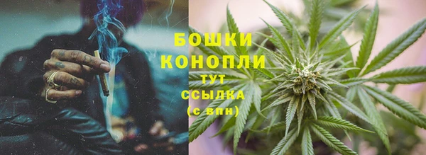 spice Аркадак